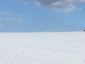 娱乐吃瓜洲,揭秘娱乐圈背后的那些事儿