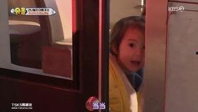 猪猪娱乐吃瓜,揭秘娱乐圈那些吃瓜背后的故事